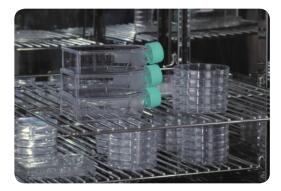 專利防滑防翻擱板設(shè)計(jì)