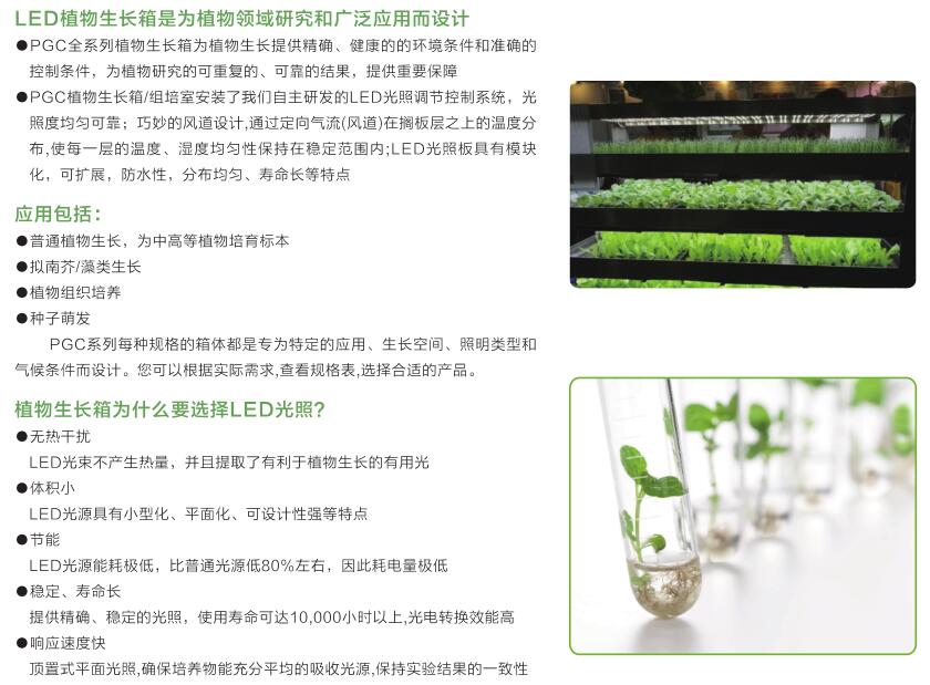 一恒儀器being品牌LED植物生長箱應(yīng)用