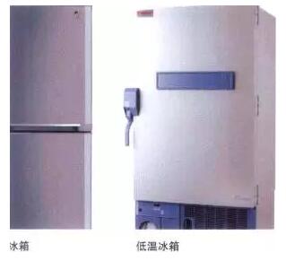 冰箱、低溫冰箱